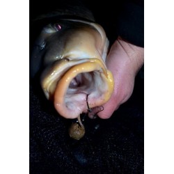 [Exemple] Sandales anna