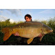Tresse Hold-Up 35lb