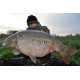 Tresse Outlaw 45lb